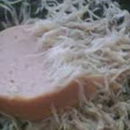 Micro worms de avena (microgusano de avena)