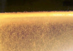 Micro worms de avena (microgusano de avena)