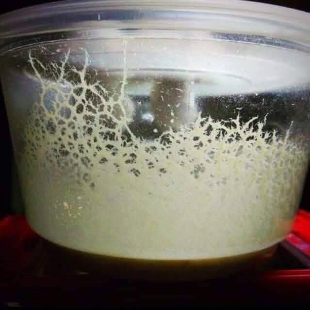 Micro worms